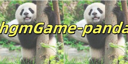 御三家Game-hgmGame-熊猫