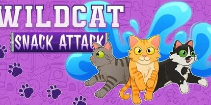 御三家Game-野猫小吃攻击