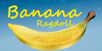 御三家Game-香蕉布娃娃