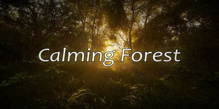 御三家Game-平静的森林