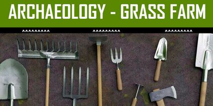 御三家Game-考古学-草场