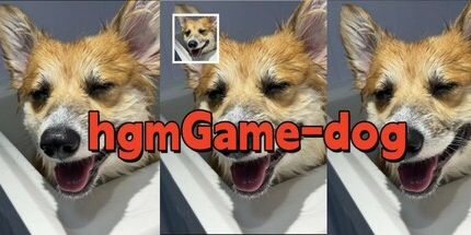 御三家Game-hgmGame-狗