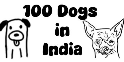 御三家Game-印度100的狗
