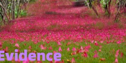 御三家Game-证据