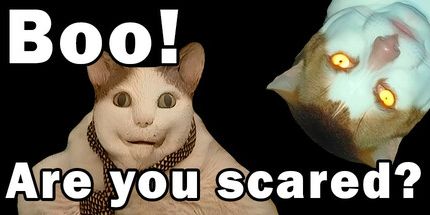 御三家Game-嘘!你害怕吗？