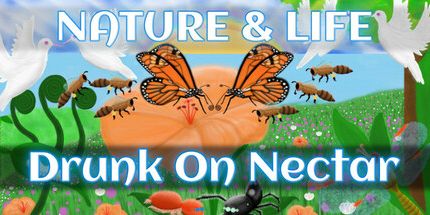 御三家Game-自然与生命-在花蜜上醉酒