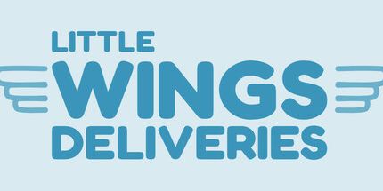 御三家Game-小翅膀交付