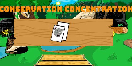 御三家Game-守恒浓度