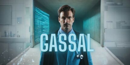 御三家Game-Gassal模拟器