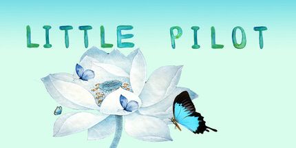 御三家Game-小小飞行员