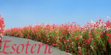 御三家Game-深奥