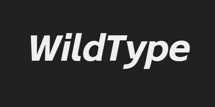 御三家Game-狂野打字