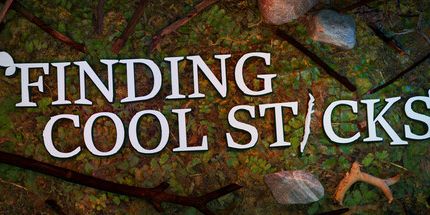 御三家Game-寻找酷棒