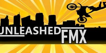 御三家Game-释放Fmx