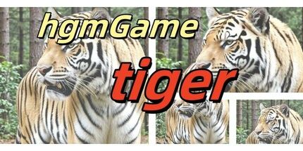 御三家Game-hgmGame-老虎