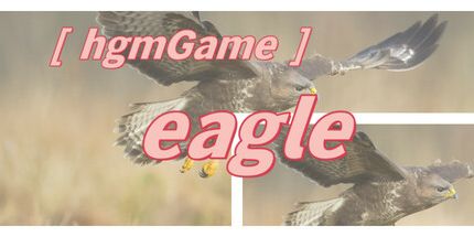 御三家Game-hgmGame-鹰