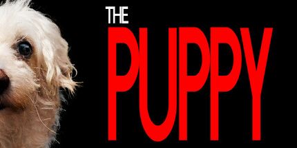 御三家Game-小狗