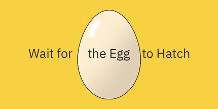 御三家Game-等待鸡蛋孵化