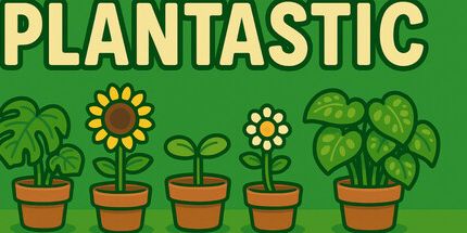 御三家Game-植物