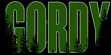 御三家Game-高迪