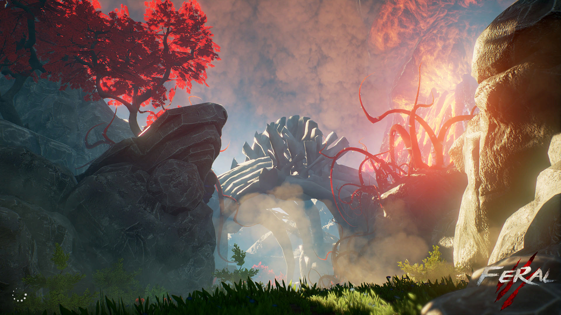 御三家Game-狂野仪式