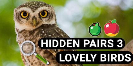 御三家Game-隐藏对3: 可爱的小鸟