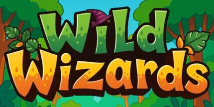 御三家Game-野生巫师