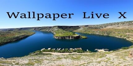 御三家Game-动态壁纸X