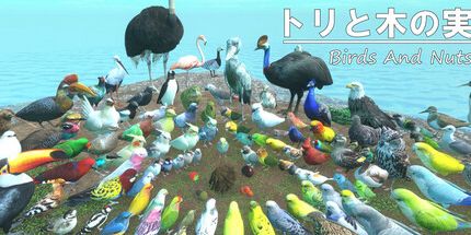 御三家Game-鸟和坚果