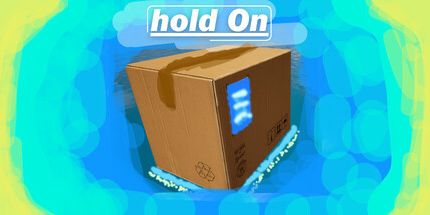 御三家Game-坚持: 鹅的交货