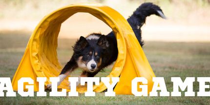 御三家Game-敏捷游戏