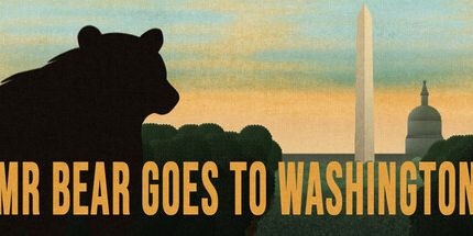 御三家Game-熊先生去华盛顿