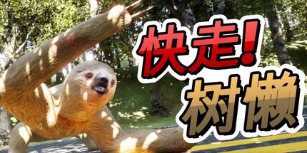 御三家Game-快走!树懒!