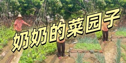 御三家Game-奶奶的菜园子