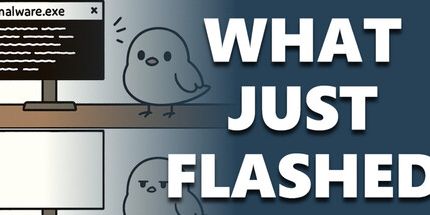 御三家Game-WhatJustFlashed