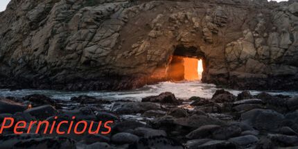 御三家Game-有害的