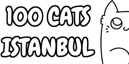 御三家Game-100猫伊斯坦布尔