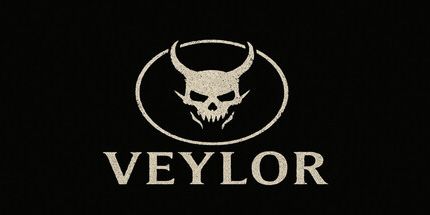 御三家Game-维勒