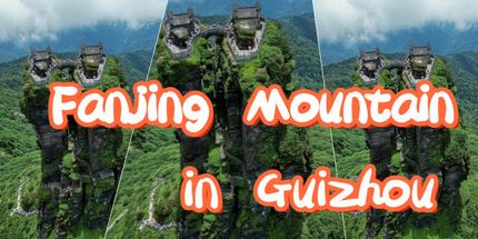 御三家Game-贵州梵净山