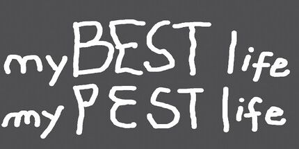 御三家Game-我最好的生活我的害虫生活