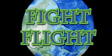 御三家Game-战斗飞行