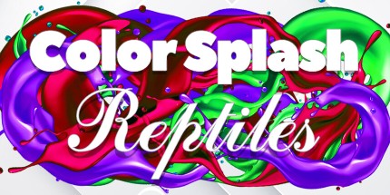 御三家Game-颜色飞溅: 爬行动物