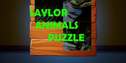 御三家Game-塞勒动物拼图