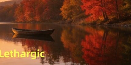 御三家Game-嗜睡