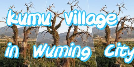 御三家Game-武鸣市库木村