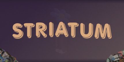 御三家Game-纹状体