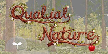 御三家Game-质量性质