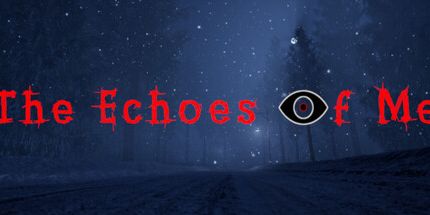 御三家Game-我的回声