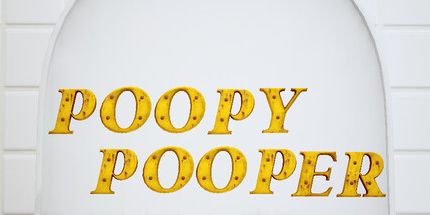 御三家Game-Poopy Pooper