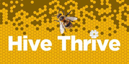 御三家Game-蜂巢茁壮成长